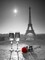 Champagne glasses with red rose next to the Eiffel tower Poster Print by Assaf Frank - Item # VARPDXAF20120314381C04